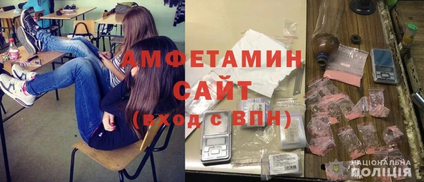 ГАЛЛЮЦИНОГЕННЫЕ ГРИБЫ Тавда