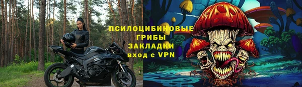 ПСИЛОЦИБИНОВЫЕ ГРИБЫ Белоозёрский