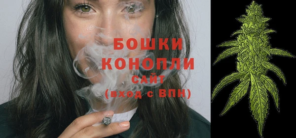 ПСИЛОЦИБИНОВЫЕ ГРИБЫ Белоозёрский