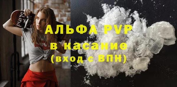 ПСИЛОЦИБИНОВЫЕ ГРИБЫ Белоозёрский