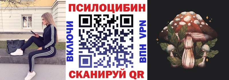 Псилоцибиновые грибы Psilocybine cubensis  что такое   Лесозаводск 